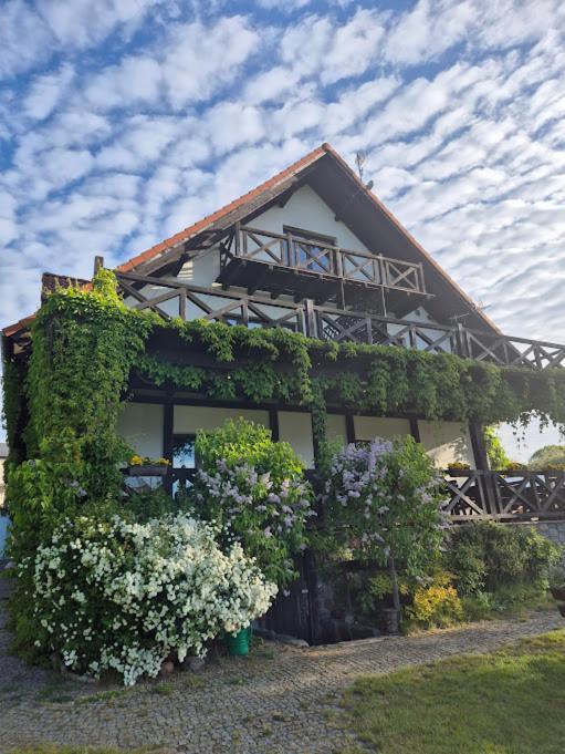 Pensjonat Rybaczowka - Noclegi, Restauracja, Port Богачево Экстерьер фото